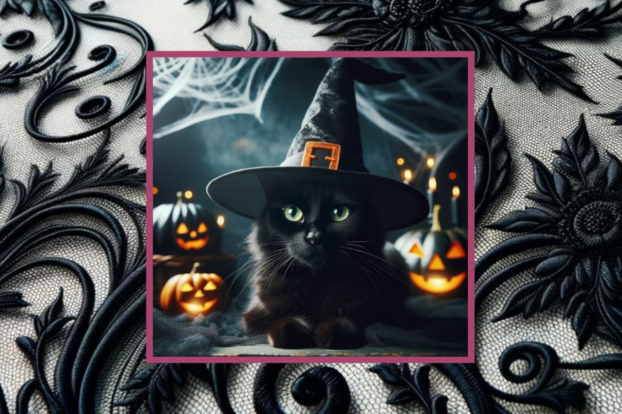 A black cat wearing a witch's hat, surrounded by Halloween-themed decorations, framed by an intricate black lace pattern.